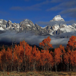 Пазл: Осень в горах залитых солнцем
