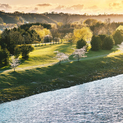 Пазл: Река и берега