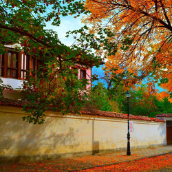 Пазл: Осень вдоль улицы