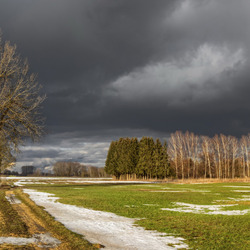 Пазл: Проталины в зеленом поле