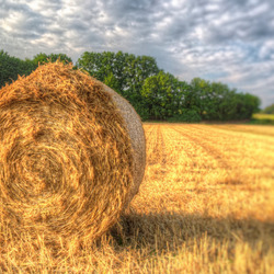 Пазл: Сенокос 