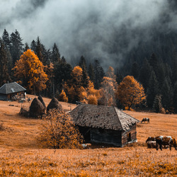 Пазл: Осень в горах