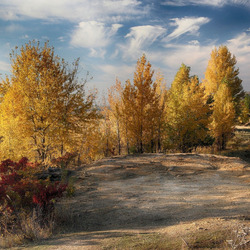 Пазл: Золотая осень