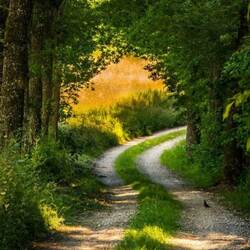 Пазл: Тихо уходит август