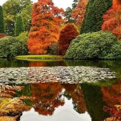 Пазл: Осень пришла