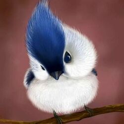 Пазл: Я красивый