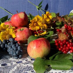 Пазл: Осенний урожай