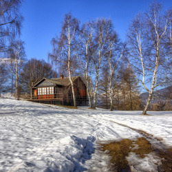 Пазл: Первые проталины