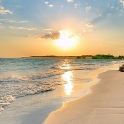 Пазл: На морском побережье