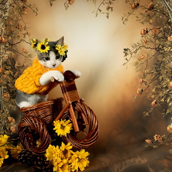 Пазл: Осенний котёнок