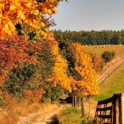 Пазл: Осенний день