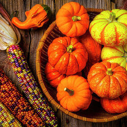 Пазл: Тыквы нового урожая