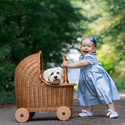 Пазл: Малышка с коляской