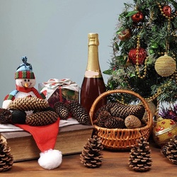 Пазл: Шишки