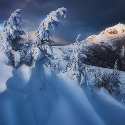 Пазл: Снежная зима