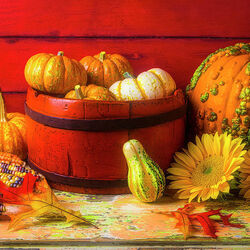 Пазл: Маленькие тыквочки