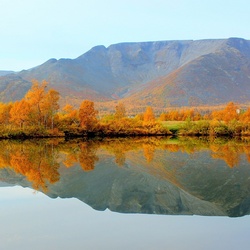 Пазл: Осенняя невесомость 