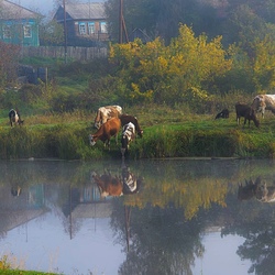 Пазл: Родительский дом