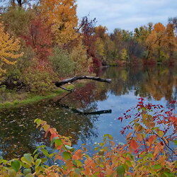 Пазл: Последние аккорды осени