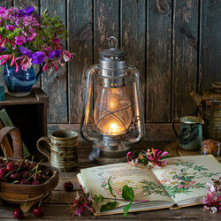 Пазл: Щедрость середины лета