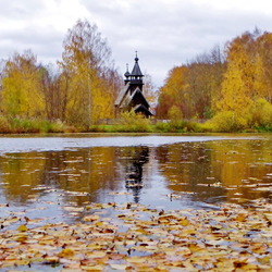 Пазл: Золотая симфония