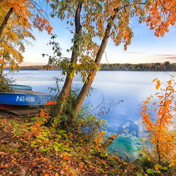 Пазл: Красавица осень