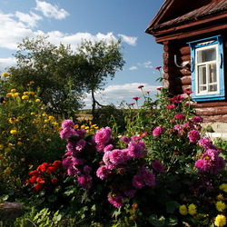 Пазл: Цветущий палисадник