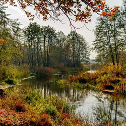 Пазл: Рыжая грусть осени