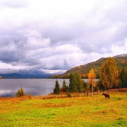 Пазл: Осень в горах