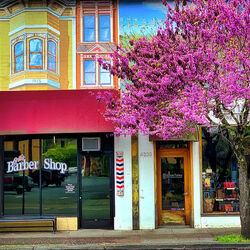 Пазл: Парикмахерская