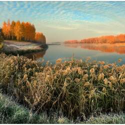 Пазл: Первые заморозки