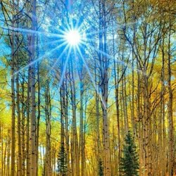 Пазл: Тихо бродит осень