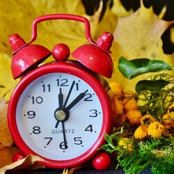 Пазл: Золотое время