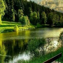 Пазл: У реки