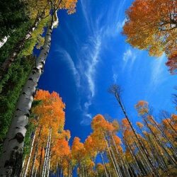 Пазл: И небо голубое