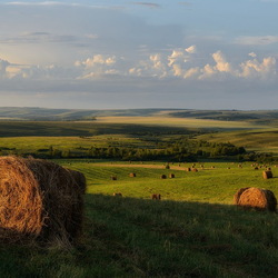 Пазл: Родные просторы