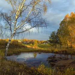 Пазл: Поторопилась