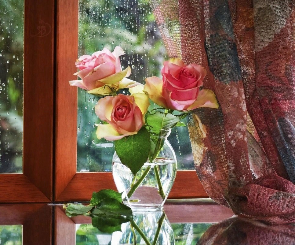 Подарить цветы в окно. Цветы на окне. Красивый букет на окне. Ваза с цветами на окне. Цветы на зимнем окне.