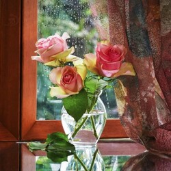 Пазл: Дождь за окном