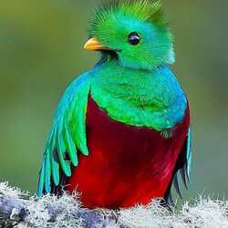 Пазл: Ну, и какой я