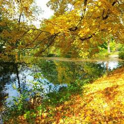 Пазл: Золотой октябрь