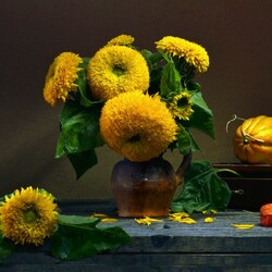 Пазл: Желтые цветы