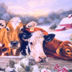 Пазл: Коровы и телёнок