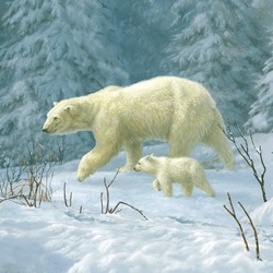 Пазл: Белые медведи