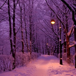 Пазл: Фиолетовые сумерки