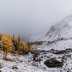 Пазл: Осень в горах