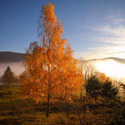 Пазл: Рассвет