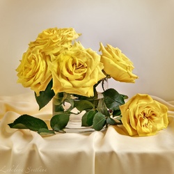 Пазл: С желтыми розами