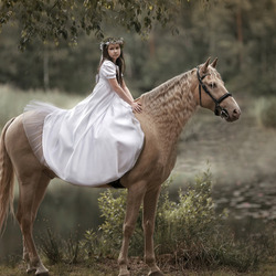Пазл: Девочка на коне