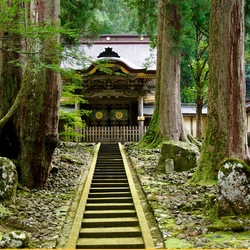 Пазл: Пагода в лесу Японии